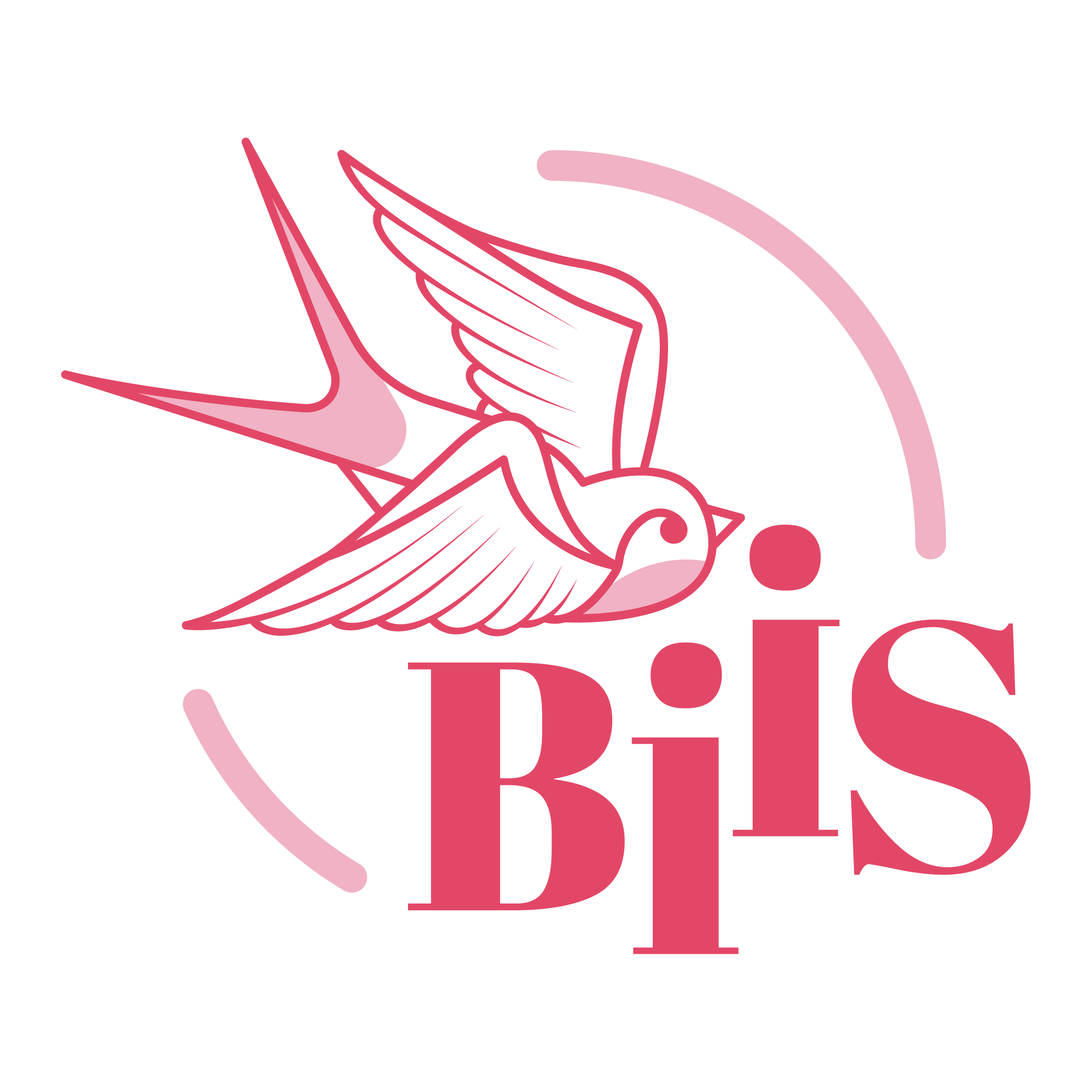 BiiS : La seconde mode